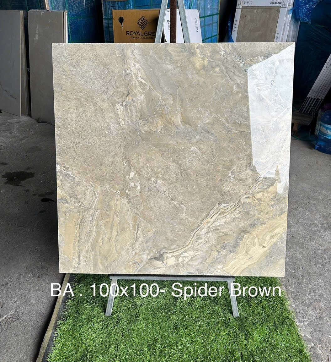 Gạch nhập khẩu ấn độ 100x100 Spider brown